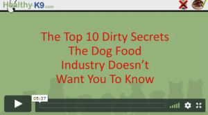 dog food secrets video