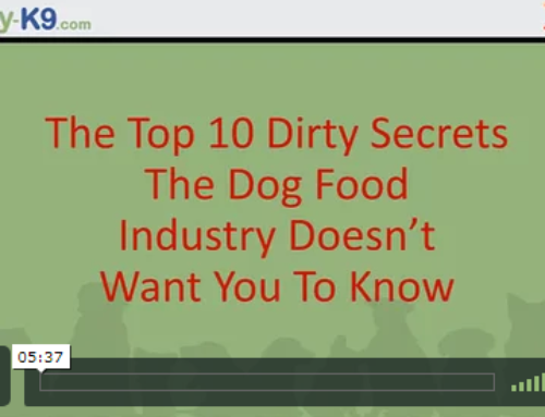 Dog Food Secrets – A Must Read!