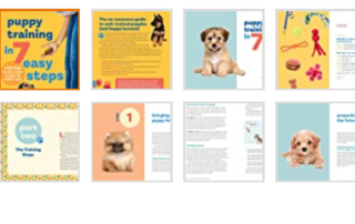 puppy training books