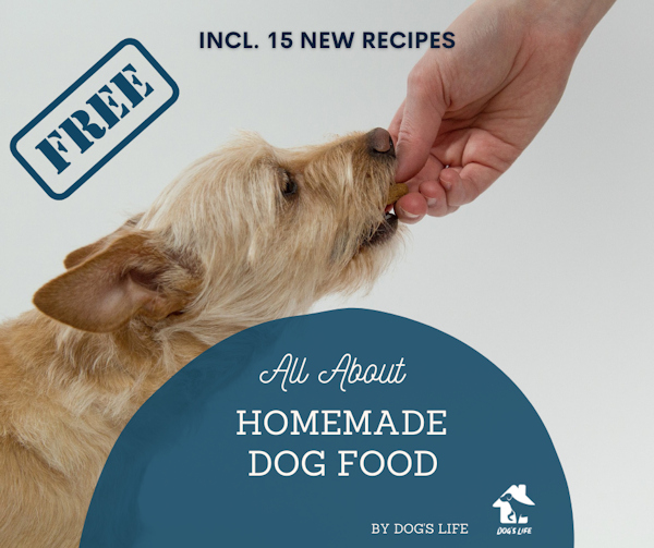 homemade dog food book - free