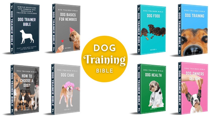 dog trainer bible review 