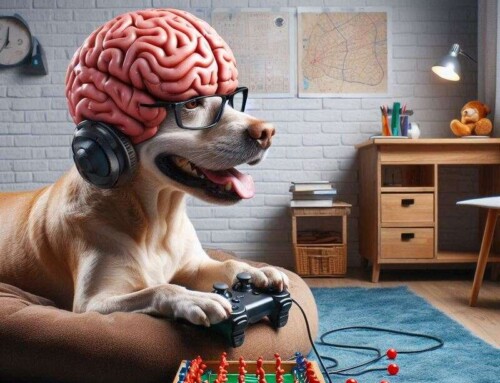 How to stimulate your dog’s brain with puzzle toys and games