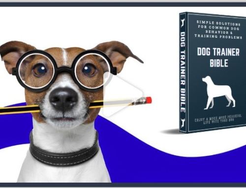 Dog Trainer Bible – Review