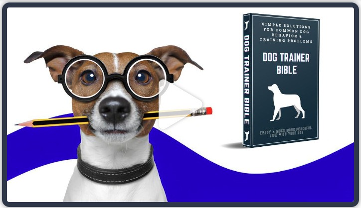 dog trainer bible review