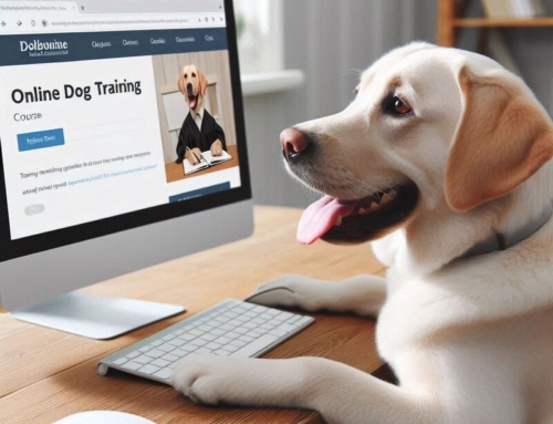 What is the best online dog training course?