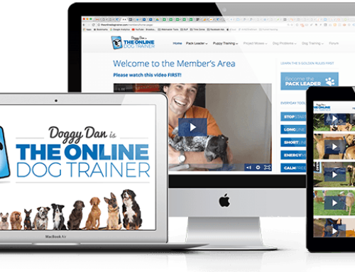 The Online Dog Trainer Program review