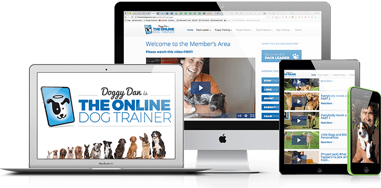 online dog trainer review